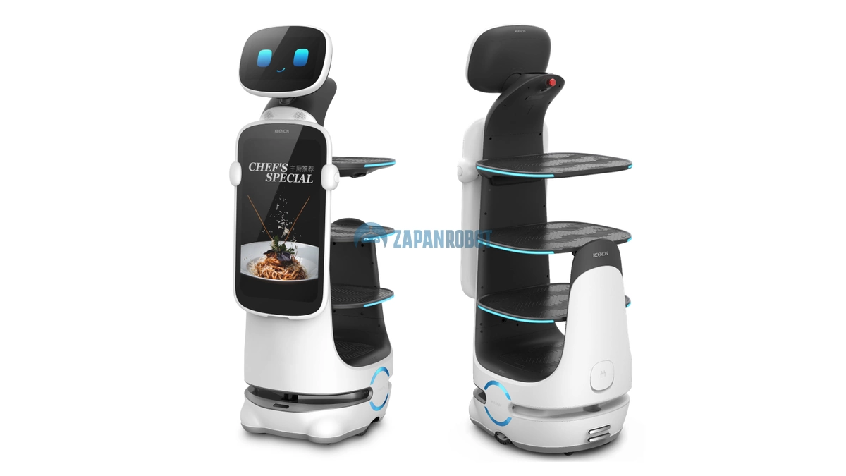 Интеллектуальный сервисный робот T10